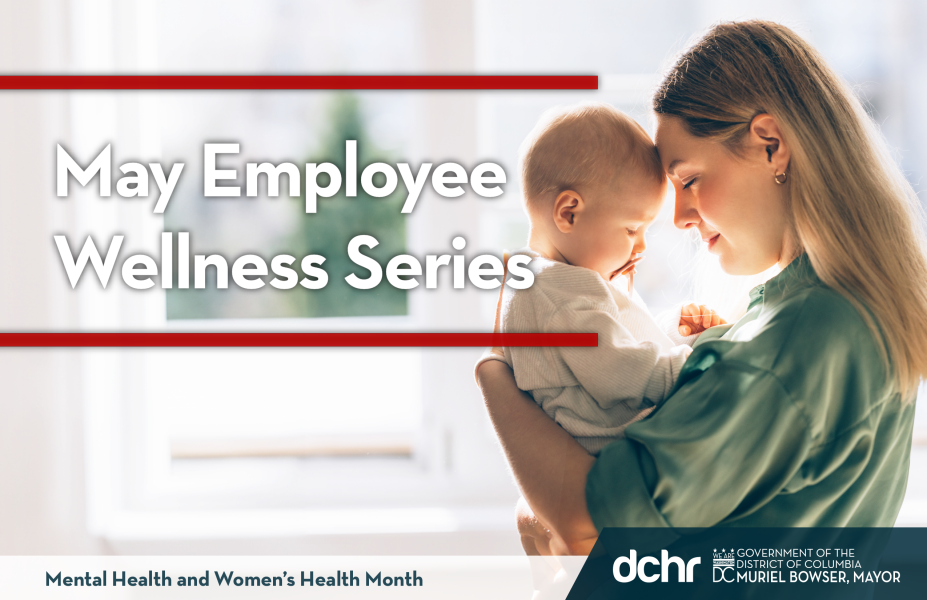 Access DCHR Wellness Series Page by clicking the banner